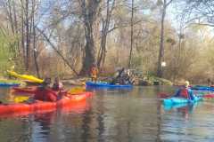 IMG-20220331-WA0014