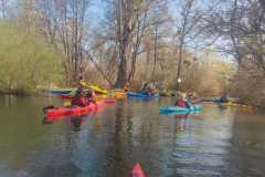 IMG-20220331-WA0015