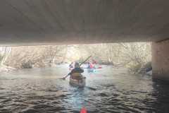 IMG-20220331-WA0028