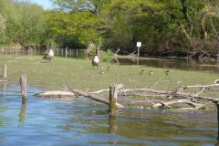 IMG_20220419_123334_168