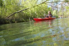 IMG_20220419_123341_690