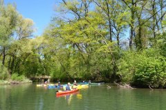IMG_20220419_123346_383