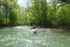 IMG_20220419_123348_423