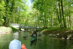 IMG_20220419_123350_170