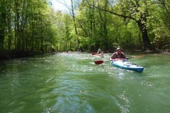 IMG_20220419_123355_156