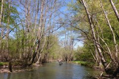 IMG_20220419_123356_938