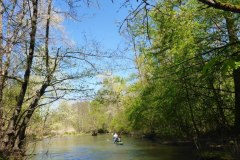 IMG_20220419_123358_491