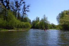 IMG_20220419_123406_250