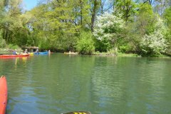 IMG_20220419_123412_123