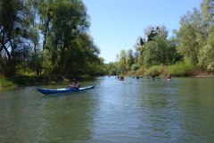 IMG_20220419_123424_233