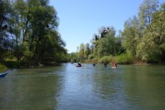 IMG_20220419_123425_349