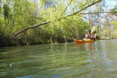 IMG_20220419_123451_821