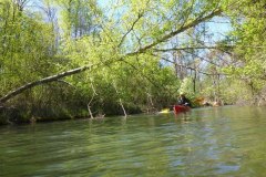 IMG_20220419_123453_550