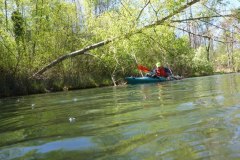 IMG_20220419_123500_375