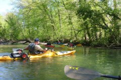IMG_20220419_123508_169
