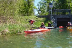 IMG_20220419_123522_320