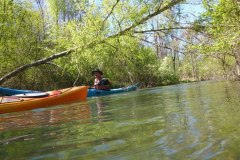 IMG_20220419_123523_514