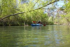 IMG_20220419_123606_525