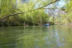 IMG_20220419_123609_280