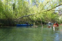 IMG_20220419_123611_132
