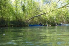 IMG_20220419_123613_285