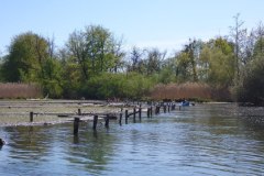 IMG_20220419_123716_562
