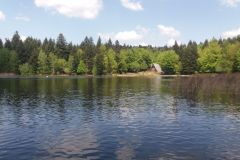 IMG_20220509_133631_702