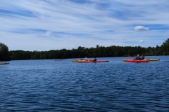 IMG_20220528_111413
