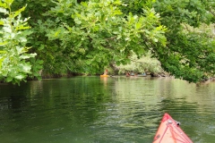 IMG_20220528_124350