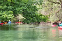 IMG_20220528_124419
