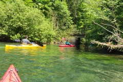 IMG_20220528_142534
