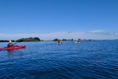 IMG_20220604_104514