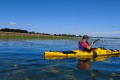 IMG_20220604_110213