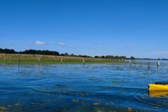 IMG_20220604_110218