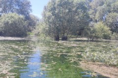 IMG_20220604_131808