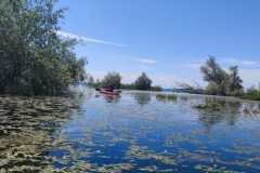 IMG_20220604_131939