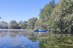 IMG_20220604_131943_1