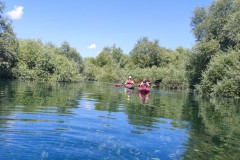 IMG_20220604_133458