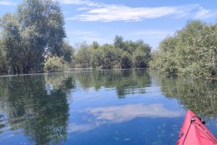 IMG_20220604_133512