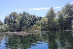 IMG_20220604_133514