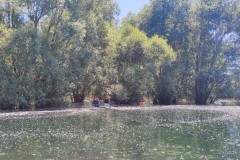 IMG_20220604_133943