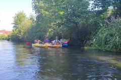 IMG_20220730_101337