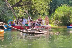 IMG_20220730_133243