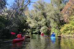 IMG-20220813-WA0019
