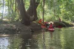 IMG-20220813-WA0020