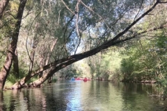 IMG-20220813-WA0021