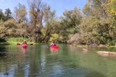 IMG-20220814-WA0004