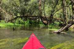 IMG-20220814-WA0005