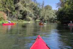 IMG-20220814-WA0006
