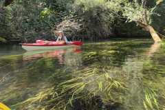 IMG-20220814-WA0007